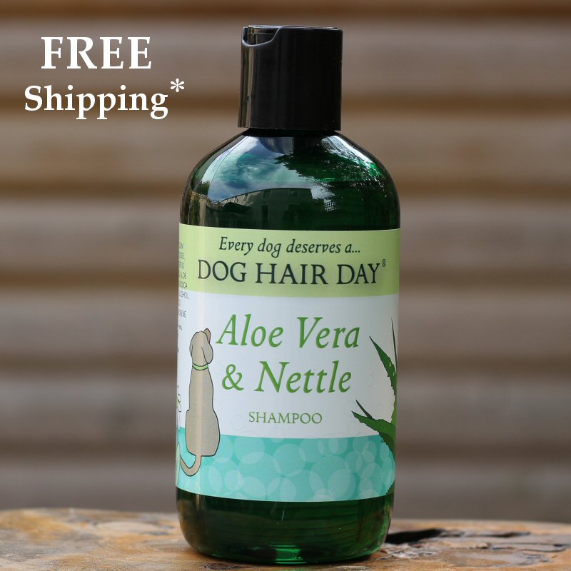Dog Hair Day Aloe Vera & Nettle dog shampoo
