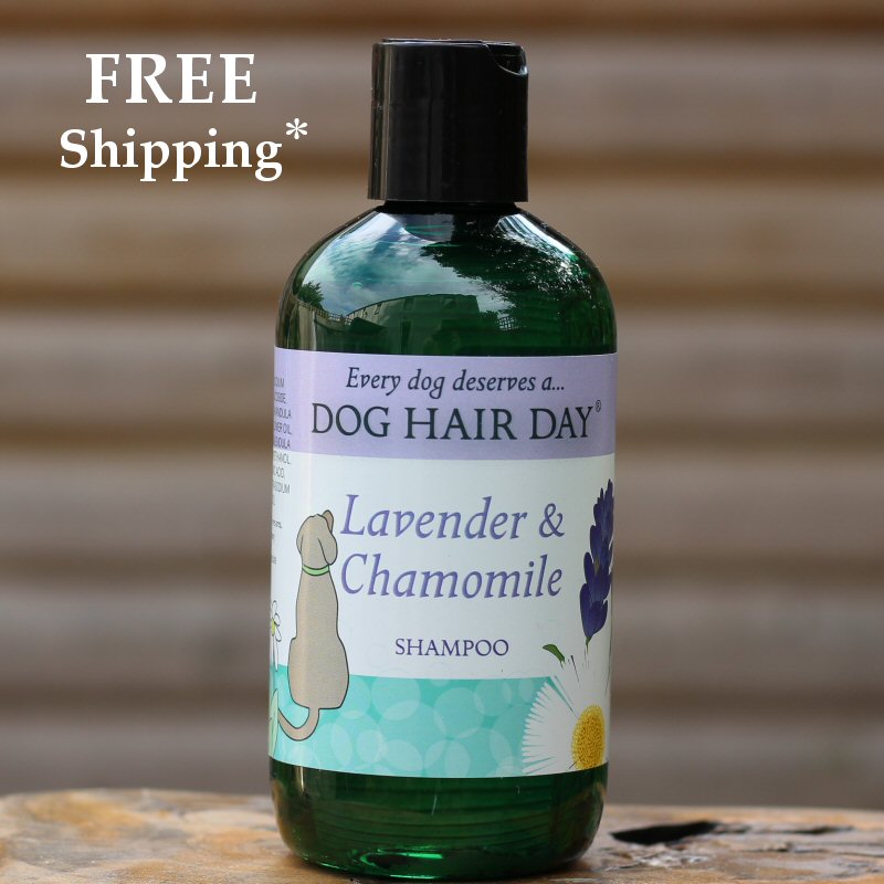 Dog Hair Day Lavender & Chamomile dog shampoo