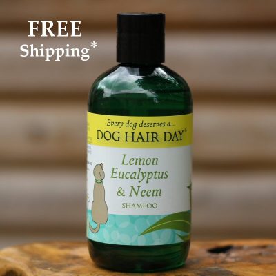 Dog Hair Day Lemon Eucalyptus & Neem dog shampoo