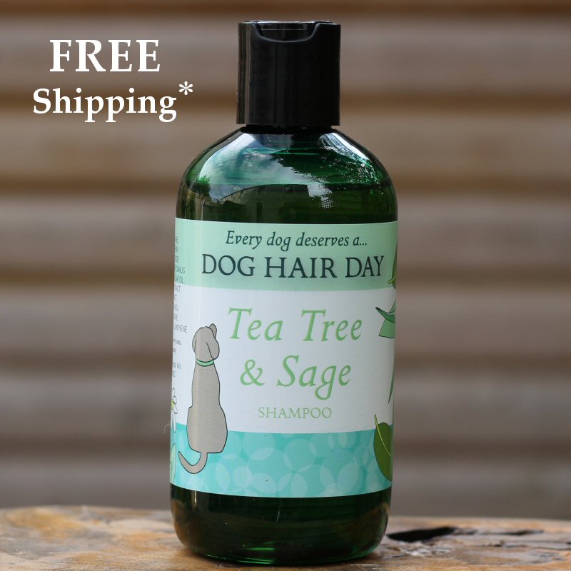 Dog Hair Day Tea Tree & Sage dog shampoo